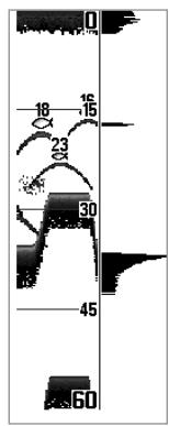 HUMMINBIRD GPS 737 - Fenêtre sonar en temps réel - 2