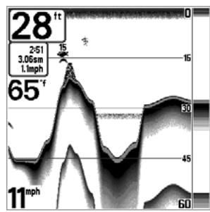 HUMMINBIRD GPS 737 - Représentation du fond - 4