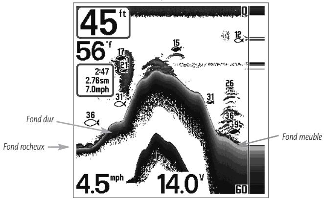 HUMMINBIRD GPS 737 - Représentation du fond - 1