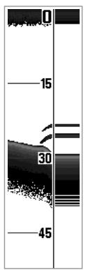 HUMMINBIRD GPS 737 - Fenêtre sonar en temps réel - 1