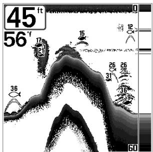 HUMMINBIRD GPS 737 - (mode utilisateur Avance, exclusivement en mode d'affichage Sonar) - 1