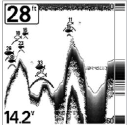 HUMMINBIRD GPS 737 - Sensibilité - 3