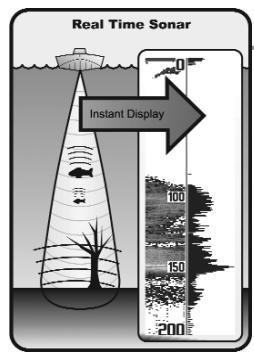 HUMMINBIRD GPS 737 - Mode d'affichage Sonar - 2