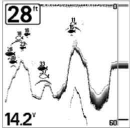 HUMMINBIRD GPS 737 - Sensibilité - 1