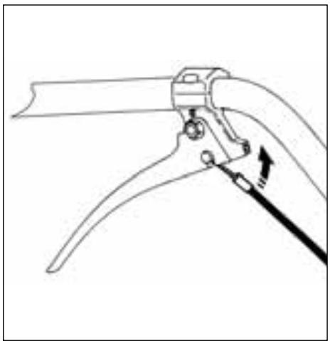 WOLF MIB - Modèle MIB - 1