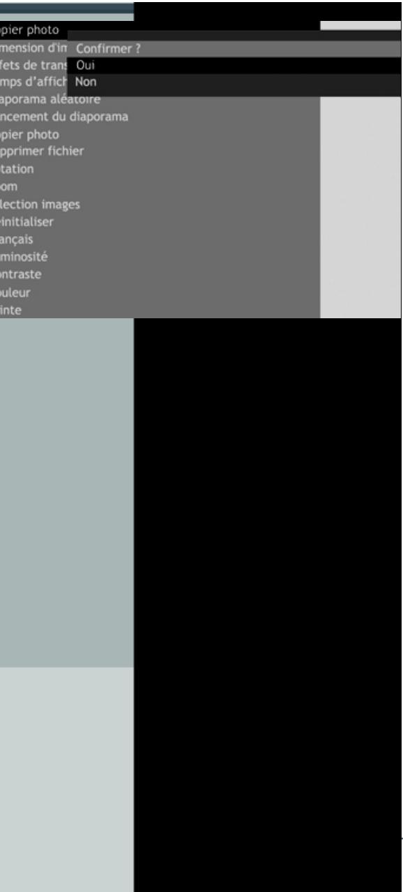 TELEFUNKEN DPF 7001 - Avec la télécommande - 1