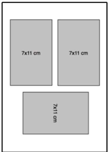 KODAK EASYSHARE 5500 - Formats de papier ISO 216 - 55