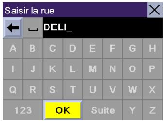 MAGELLAN ROADMATE 300 - Adresse - 3