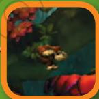 NINTENDO WII DONKEY KONG COUNTRY RETURNS - Continuer - 1