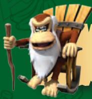 NINTENDO WII DONKEY KONG COUNTRY RETURNS - SUPERGUÍA - 2