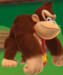 NINTENDO WII DONKEY KONG COUNTRY RETURNS - Frapper le sol - 1