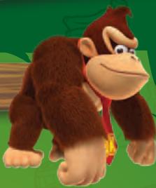 NINTENDO WII DONKEY KONG COUNTRY RETURNS - Ground Pound - 1