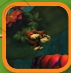 NINTENDO WII DONKEY KONG COUNTRY RETURNS - Opciones - 1