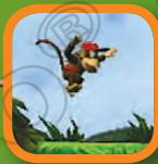 NINTENDO WII DONKEY KONG COUNTRY RETURNS - Soplar - 1