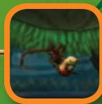 NINTENDO WII DONKEY KONG COUNTRY RETURNS - S'agripper - 7