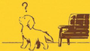 NINTENDO DOGS AND CATS GOLDEN RETRIEVER - Is Your Dog Having a Hard Time Learning Its Name? - 1