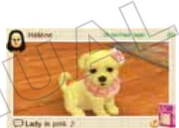 NINTENDO DOGS AND CATS GOLDEN RETRIEVER - After a Successful StreetPass Exchange - 1