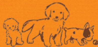 NINTENDO DOGS AND CATS GOLDEN RETRIEVER - Astuce! - 1