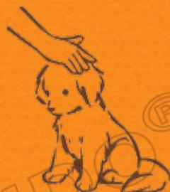 NINTENDO DOGS AND CATS GOLDEN RETRIEVER - Emmener votre chiot à la maison - 2