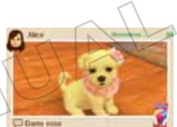 NINTENDO DOGS AND CATS GOLDEN RETRIEVER - Échange de StreetPass réussie.   Quoi faire maintainant? - 1