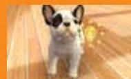 NINTENDO DOGS AND CATS GOLDEN RETRIEVER - Nommer votre chiot - 1