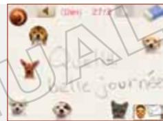 NINTENDO DOGS AND CATS GOLDEN RETRIEVER - Écran du carnet - 1