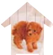 NINTENDO DOGS AND CATS GOLDEN RETRIEVER - Go Shopping - 2