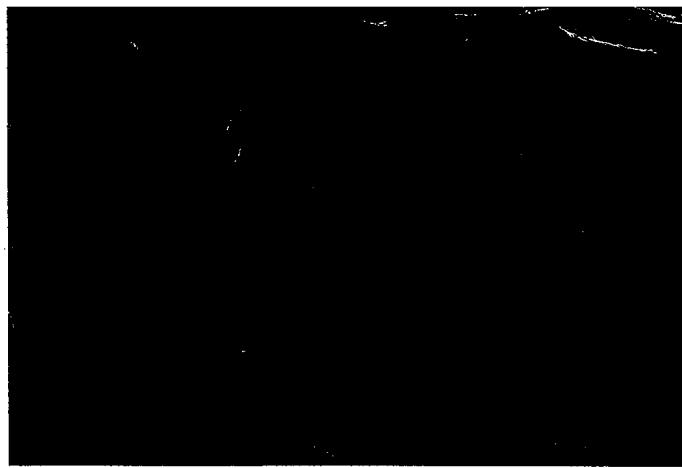 FRANCE TELECOM AMARYS 465 SF - 2