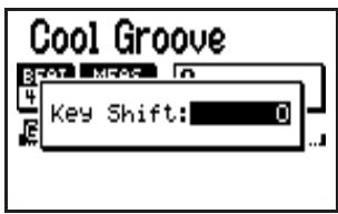 BOSS DR-880 - Appuyez sur [KEY]. - 1