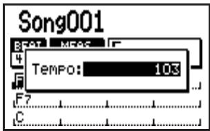 BOSS DR-880 - Changer le tempo - 1