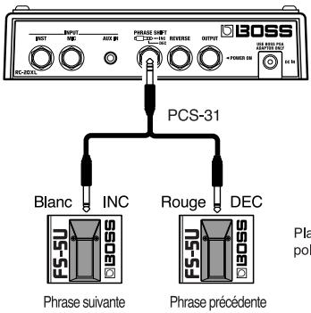 BOSS RC20XL - Connexion de deux fs-5u - 1