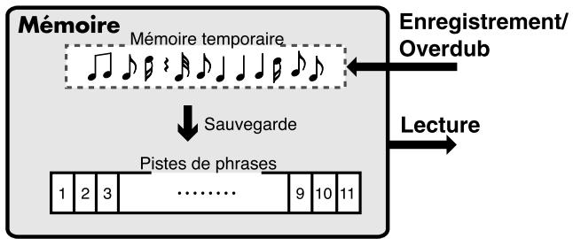 BOSS RC20XL - Sauvegarder ou supprimer une phrase - 1