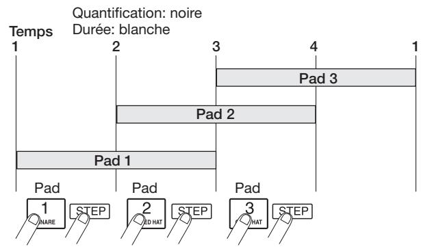 ZOOM MRS-1608 - Programmation pas à pas de la série de basse - 1