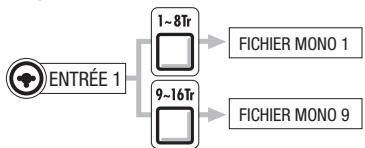 ZOOM R16 - Fichiers correspondant aux entrées - 1