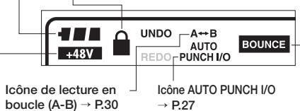ZOOM R16 - Icône d'alimentation fantôme - 2