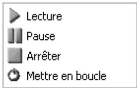 PINNACLE DVD INSTANTCD+DVD - Lecteur audio - 1