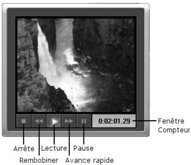 PINNACLE DVD INSTANTCD+DVD - Commandes de pilotage - 1