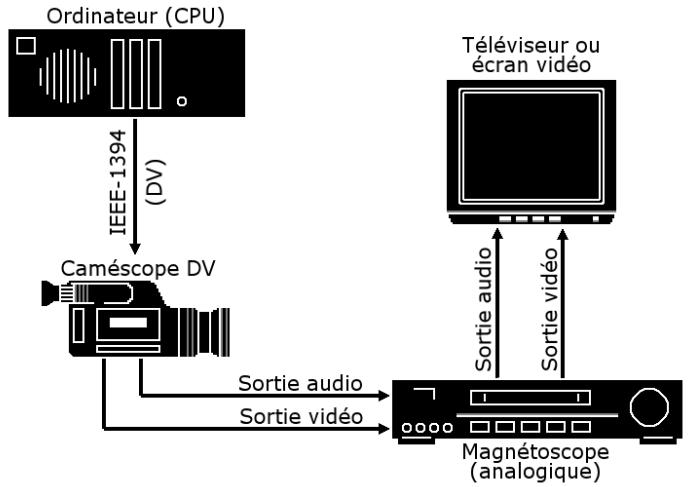 PINNACLE STUDIO 11 - Connexion d'un téléviseur ou d'un écran vidéo - 1
