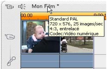PINNACLE STUDIO 11 - Format video du projet - 2