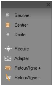 PINNACLE STUDIO ULTIMATE COLLECTION - Commandes de mise en forme du texte - 2