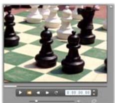 PINNACLE STUDIO ULTIMATE COLLECTION - Formats d'image video - 1