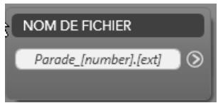 PINNACLE STUDIO ULTIMATE COLLECTION - Le panneau du nom de fichier - 3