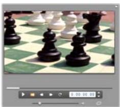 PINNACLE STUDIO ULTIMATE COLLECTION - Formats d'image video - 3