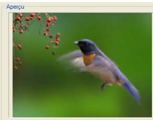 ULEAD VIDEO STUDIO 9 - Pour appliquer Panoramaque et Zoom : - 2