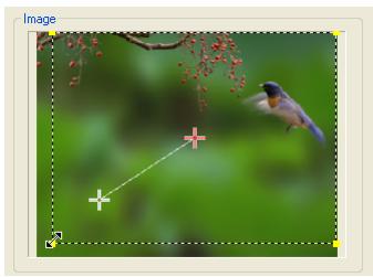 ULEAD VIDEO STUDIO 9 - Pour appliquer Panoramaque et Zoom : - 5