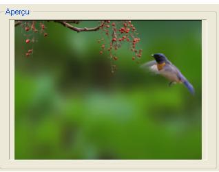 ULEAD VIDEO STUDIO 9 - Pour appliquer Panoramaque et Zoom : - 6