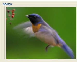 ULEAD VIDEO STUDIO 9 - Pour appliquer Panoramaque et Zoom : - 4