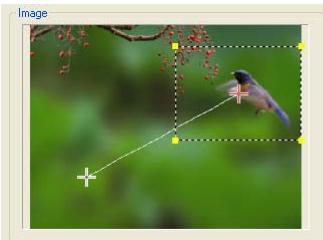 ULEAD VIDEO STUDIO 9 - Pour appliquer Panoramaque et Zoom : - 1