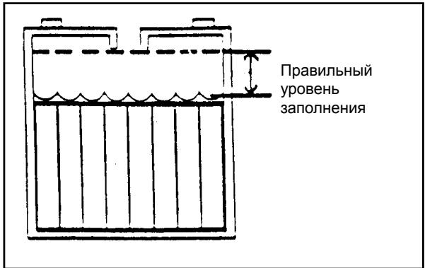 NILFISK SCRUBTEC BOOST 8 - YxoIa 3a 6aTapeAeMn - 5