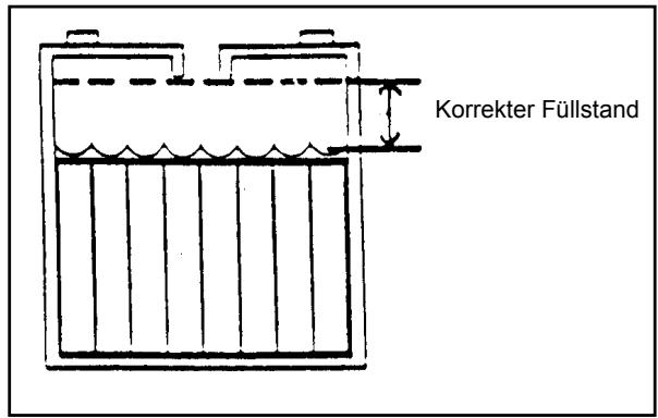 NILFISK SCRUBTEC BOOST 8 - Akkuwartung - 5